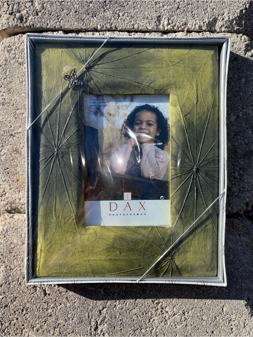Dax Photography Green Leaf Resin 4×6 Photo Frame In Gift Box NEW